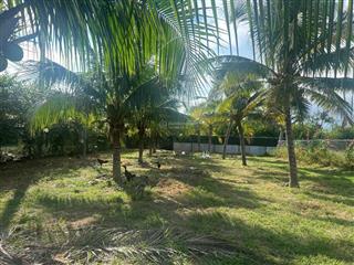 Tổng hợp các mảnh đất tại xã hòa thắng