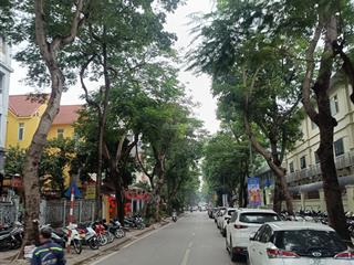 Siêu rẻ giá đầu tư bán đất mỹ đình vỉa hè 6m đường 3 ô tô tránh  kinh doanh  75m2  chỉ 29,5tỉ