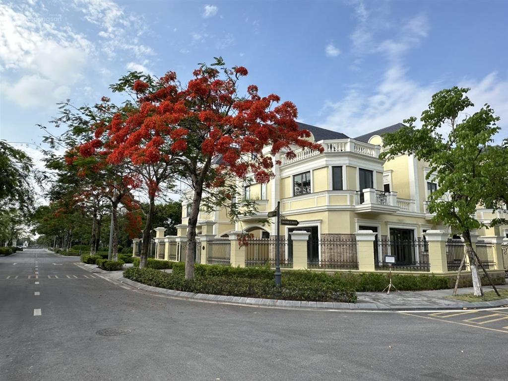 Chính chủ tôi bán lô góc mặt chung cư 142m2 xây gần full 35 tỷ, đường rộng(có hầm âm cực chất)vvip