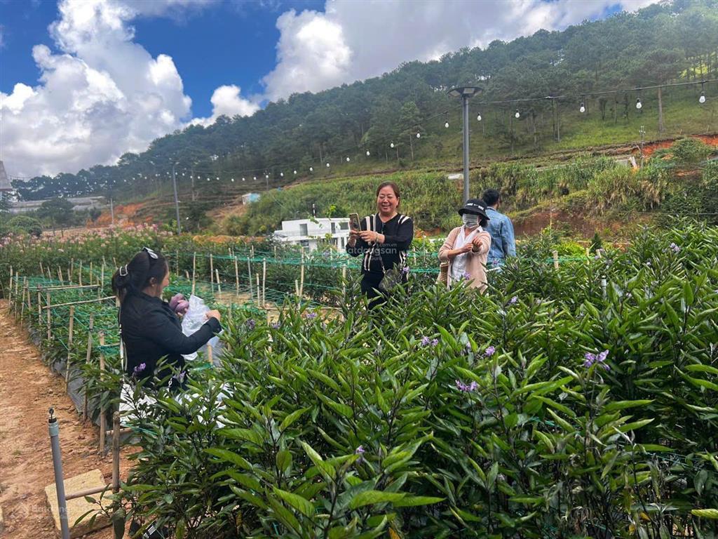 Bán khu du lịch xuân thọ, đà lạt 7.400m2, giá 65 tỷ