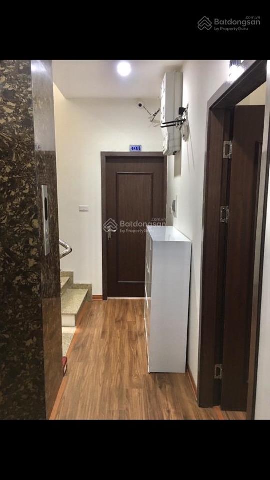 Bán nhà riêng tại trần hưng đạo, 20 tỷ, 55m2, 6pn, 4wc, pháp lý đầy đủ