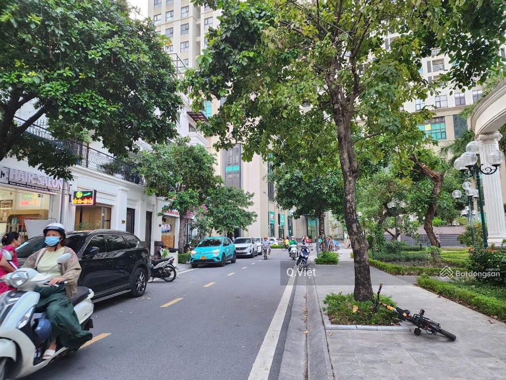 Biệt thự roman plaza hải phát, biệt thự đơn lập, căn góc view vườn cây đẹp trong dự án