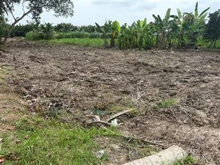 Đất vườn giá rẻ tại châu thành, long an