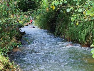 860 triệu/ 1.009m sổ hồng riêng gần ql20 (đồng nai)