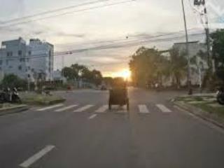 Hoa hậu, siêu phẩm lô gốc đường chu huy mân,sơn trà siêu đẹp,đường 10m5,vỉa hè mỗi bên 7m5,chỉ 1 lô