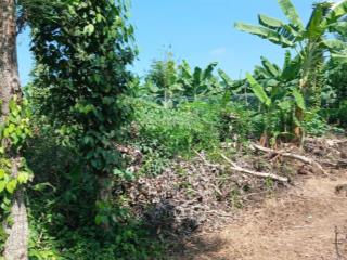 Cần bán gấp đất 2000m² (2 xào) xã thanh sơn h. định quán t. đồng nai 350 triệu