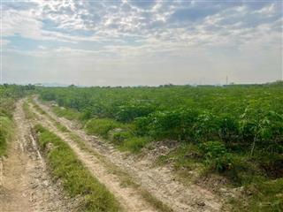 Bán đất xã ninh tây, đất đối diện suối nước nóng trường xuân đi vào 2 km (đất 2 mặt tiền đường)