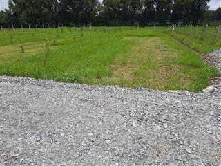 Chỉ 799 triệu cho 100m2chính chủ cần bán gấp lô đất đẹp tại phước hiệp