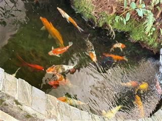 Top garden hill ưu đãi trong tháng chiết khấu 92tr giá còn 719tr