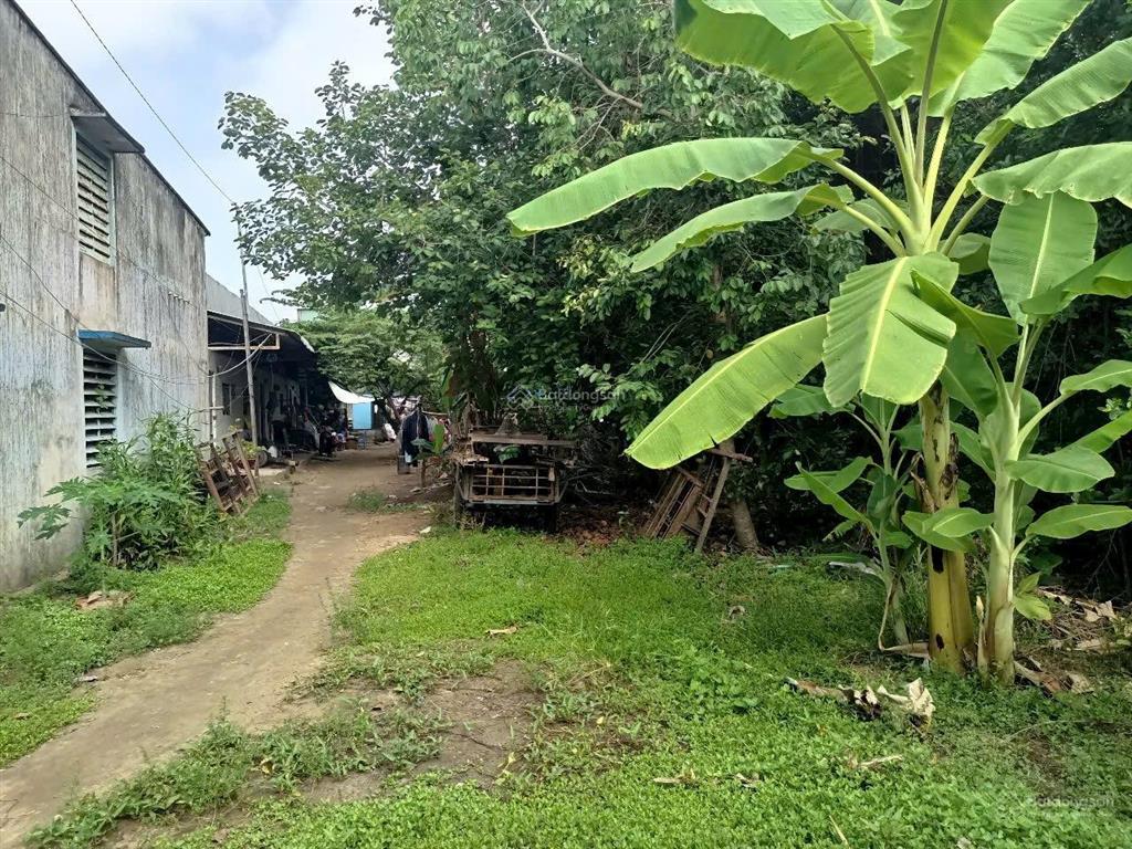 Bán đất chính chủ tại tân châu  an giang