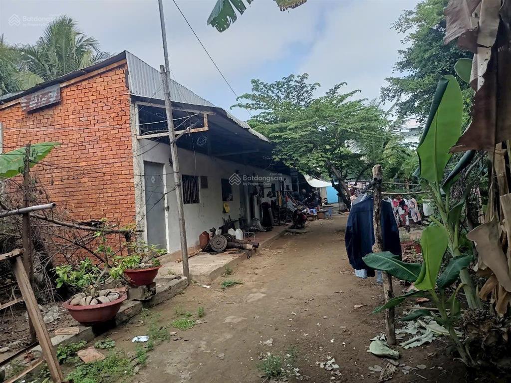 Bán đất chính chủ tại tân châu  an giang