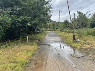 Bán gần 1ha vườn sầu riêng (5 năm) mặt đường nhựa  tiếp giáp sông đạ huoai