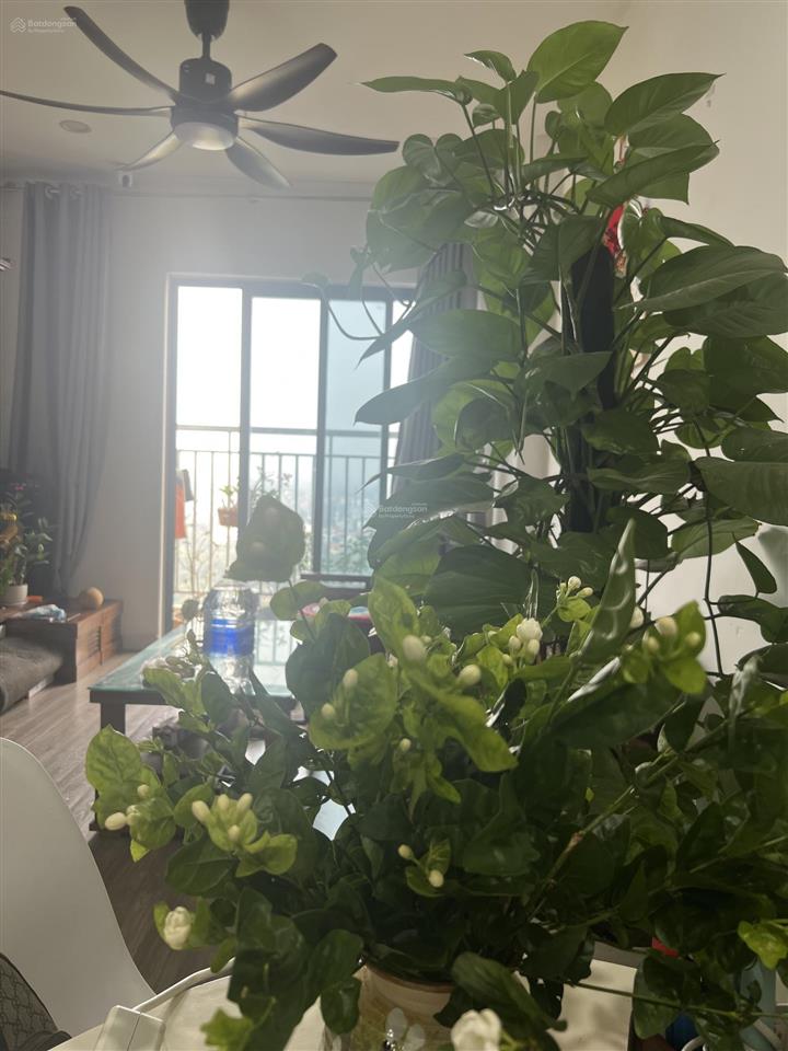 Bán gấp căn hộ ecohome 3, giá 4,5 tỷ, dt 68m2, đông ngạc, bắc từ liêm, hà nội