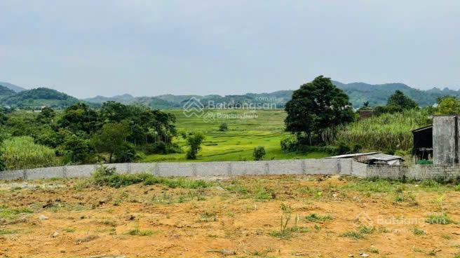 Cực hiếm 1000m full thổ cư view đỉnh chóp tuyệt đẹp tại cao phong hòa bình giá chỉ 1,x tỷ