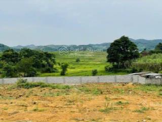 Cực hiếm 1000m full thổ cư view đỉnh chóp tuyệt đẹp tại cao phong hòa bình giá chỉ 1,x tỷ