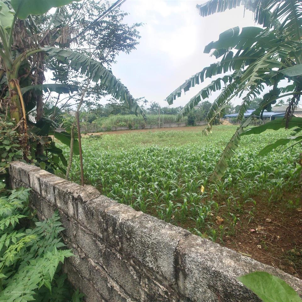 Chính chủ bán 300m2 đất trung tâm hành chính cao phong, hòa bình