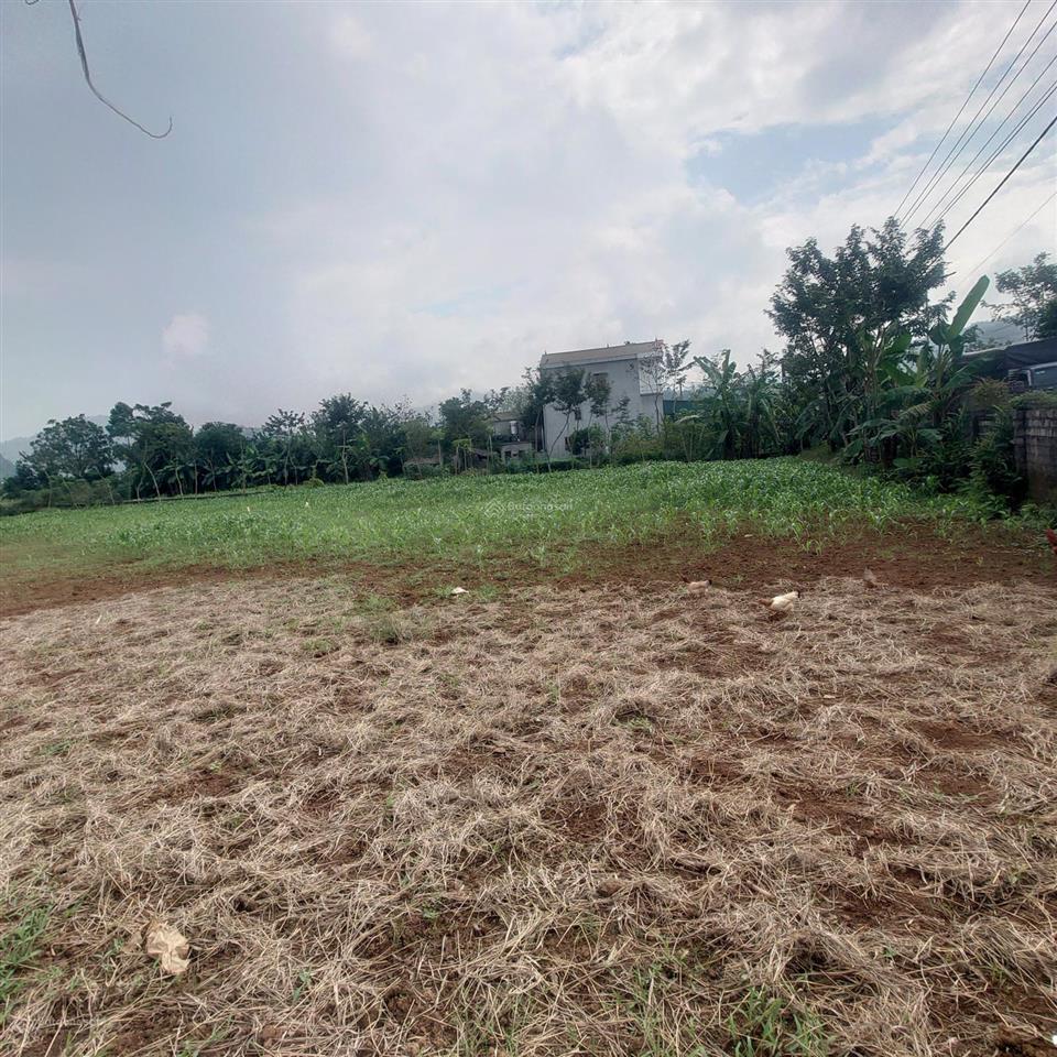 Chính chủ bán 300m2 đất trung tâm hành chính cao phong, hòa bình