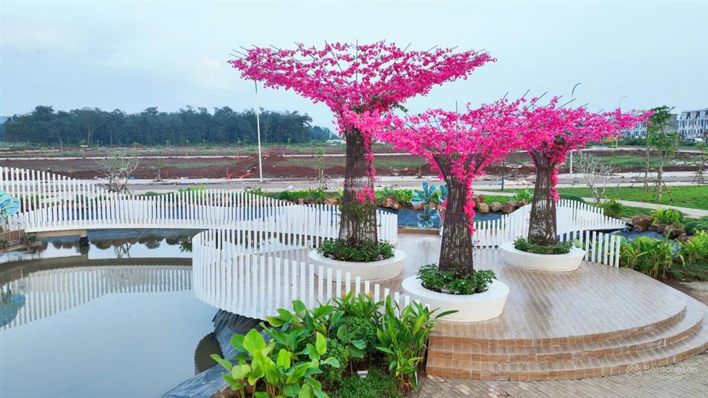 Nhận đặt chổ dự án the link city mt quốc lộ 1a tt xã dầu giây đồng nai giá chỉ từ 2,1 tỷ/1 nền