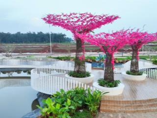 Nhận đặt chổ dự án the link city mt quốc lộ 1a tt xã dầu giây đồng nai giá chỉ từ 2,1 tỷ/1 nền