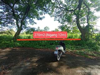 Mở bán đất nền f0 tại đường tam đa, trường thạnh, thủ đức dt 270m² full thổ cư, giá chỉ 4,22 tỷ.