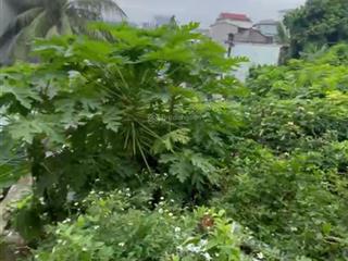 Bán đất tại bạch đằng, hạ long, quảng ninh, 1,6 tỷ, 78,5 m2, giá cực chất đẹp