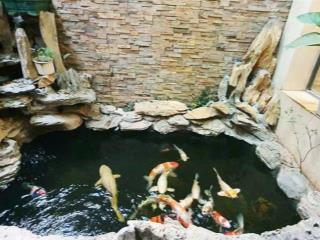 Biệt thự sân vườn mặt phố âu cơ tây hồ 858m2*5t mt 15m 200 tỷ kinh doanh, văn phòng, khách sạn