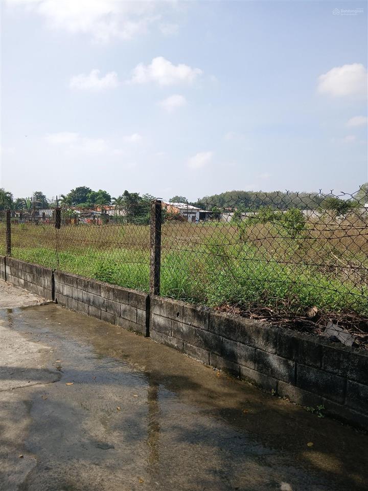 Bán đất 10 tỷ, 1427m2 tại nguyễn thị nê, phú hòa đông, củ chi, hcm bao đẹp