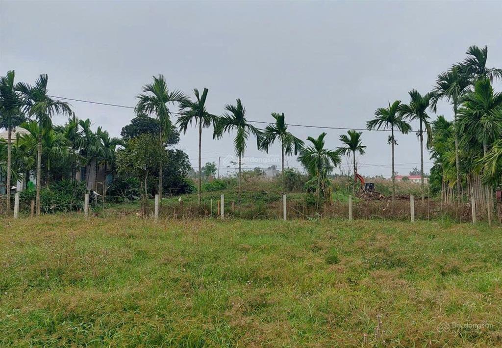 Bán đất làm nhà vườn gần hội an 1.448m², không gian sông nước bao quanh, ô tô vào tận nơi, sổ hồng