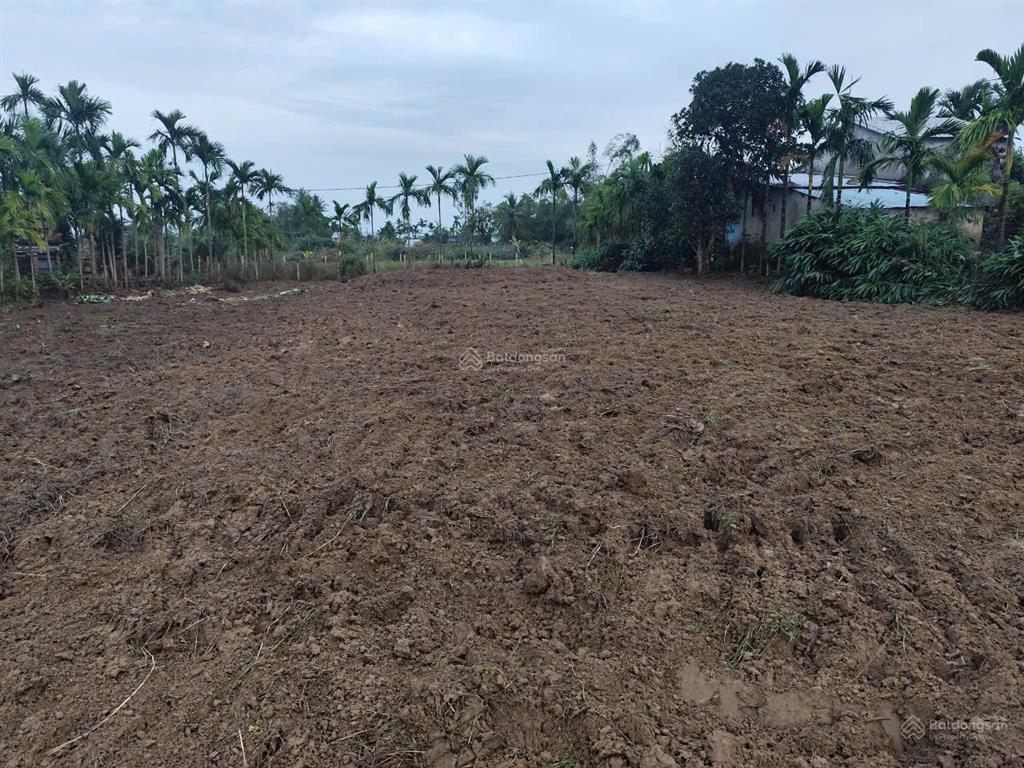 Bán đất làm nhà vườn gần hội an 1.448m², không gian sông nước bao quanh, ô tô vào tận nơi, sổ hồng