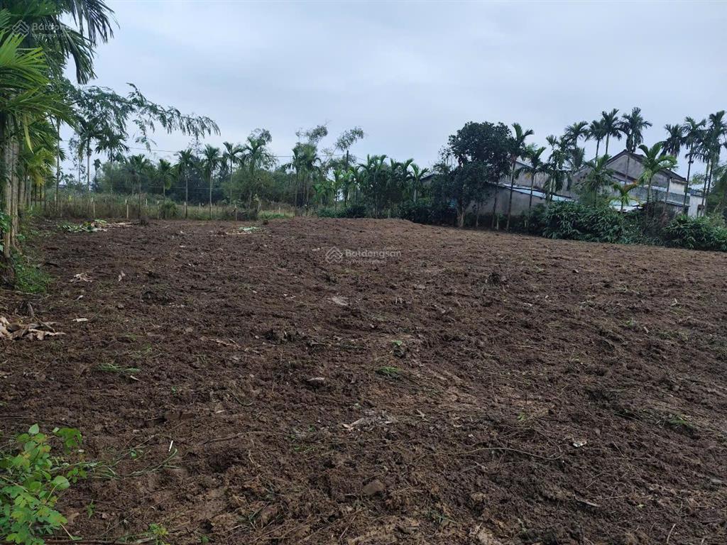 Bán đất làm nhà vườn gần hội an 1.448m², không gian sông nước bao quanh, ô tô vào tận nơi, sổ hồng
