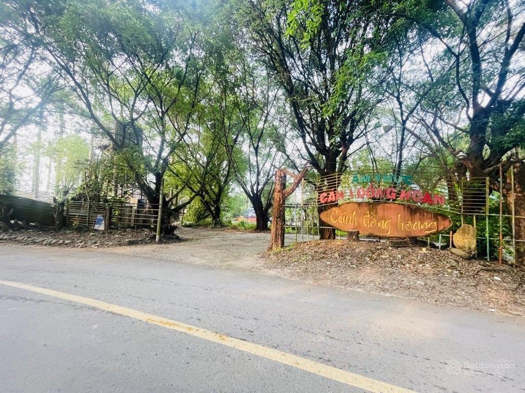 Đất hóc môn 3060m2, 52x75m, 1 đời chủ, vành đai 3, nguyễn thị ngâu, quán cô ba nữ, hơn 6 triệu/m2