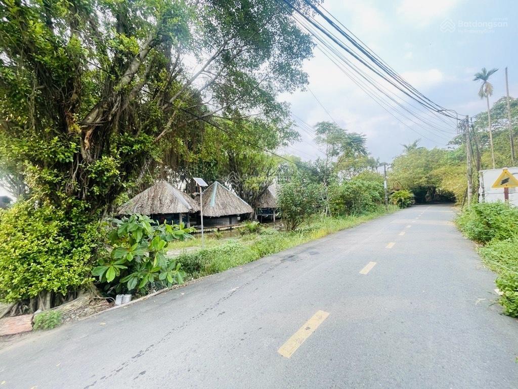 Đất hóc môn 3060m2, 52x75m, 1 đời chủ, vành đai 3, nguyễn thị ngâu, quán cô ba nữ, hơn 6 triệu/m2