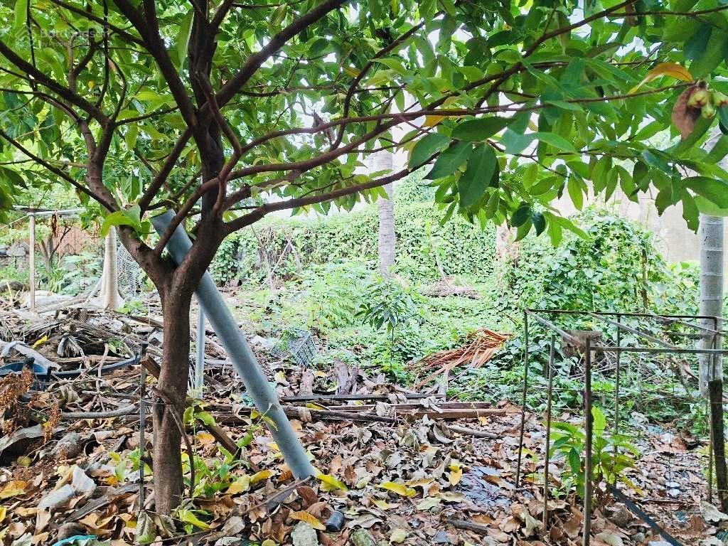 Đất bình thạnh 1600m2, 40x40m, chu văn an gần landmark 81, đinh bộ lĩnh, nơ trong long, 1 đời chủ