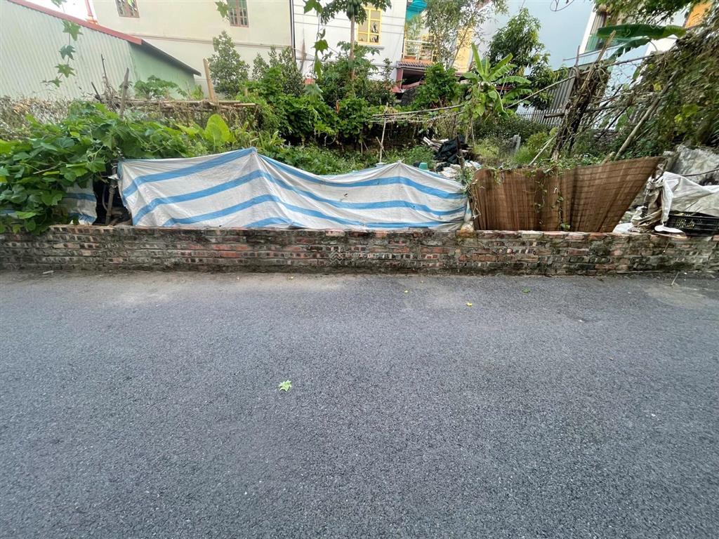 Bán đất lễ pháp tiên dương đông anh, ô tô đỗ cửa, 100m ra khu đất đấu giá, công viên kim quy