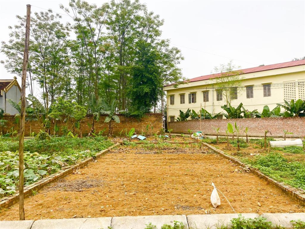 23tr/m2 lô đất gần sát chợ cổ đông xã hòa lạc mới, gần đh fpt hòa lạc, cách metro 5 10 phút