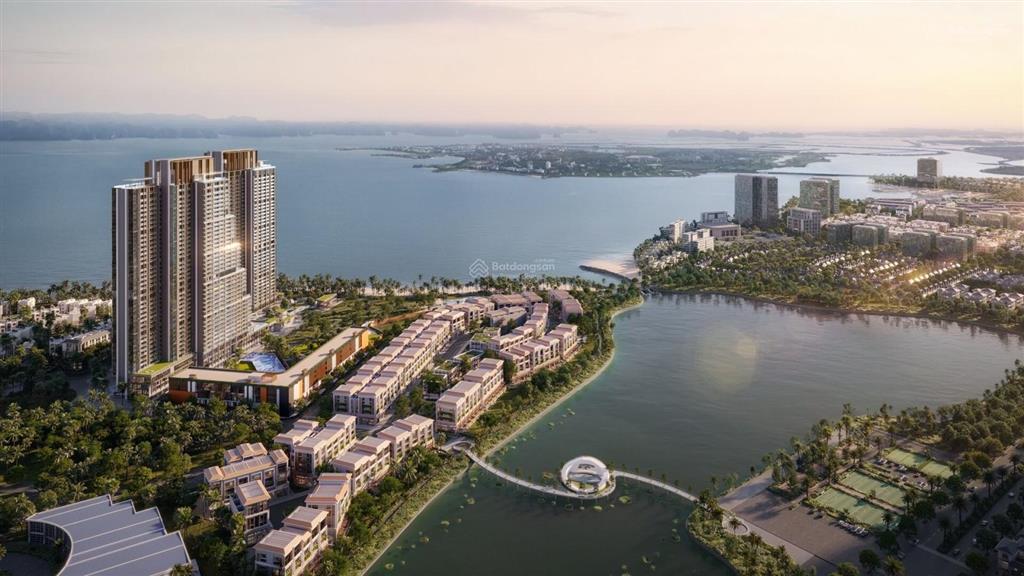 Quỹ căn ngoại giao studio, 1 ngủ, 2 ngủ aria hướng biển tầng trung, cao full chiết khấu, tặng vàng