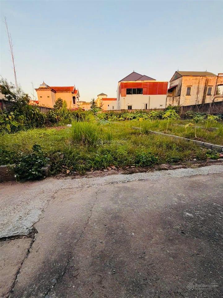 Chính chủ bán 98,2m2 đan kim  liên nghĩa  văn giang 50m ra trục chính đan kim sát đường đông tây