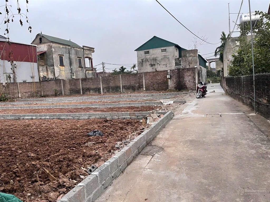 Chính chủ bán 98,2m2 đan kim  liên nghĩa  văn giang 50m ra trục chính đan kim sát đường đông tây