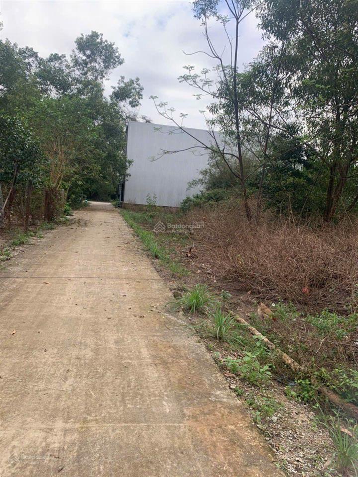 Bán lô đất kề góc 2 mặt tiền tỉnh lộ 10a 250m2 ngang 10m nhỉnh 2 tỷ