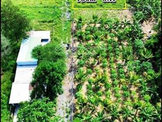 2 lô diên lâm full thổ cư, diên lâm, ngay sát tỉnh lộ 8. cách tttp nha trang 20 phút