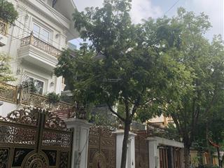 Biệt thự hiếm làng quốc tế thăng longnghĩa tâncầu giấy 202m 4tầng thang máy lô góc ở luôn 130tỷ.