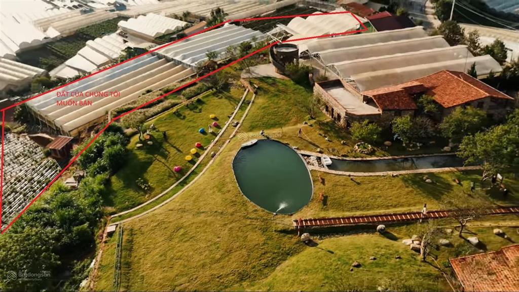 Mặt tiền cafe trạm ký ức, chỉ 50 tỷ, 4537.8m2 (giáp ranh với cafe trạm ký ức nổi tiếng tại đà lạt)