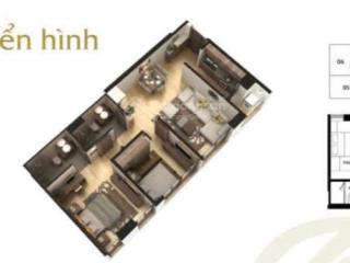 Cần bán chcc 65m2 tại the nestar 83 hào nam, pháp lý đầy đủ đã có sổ!