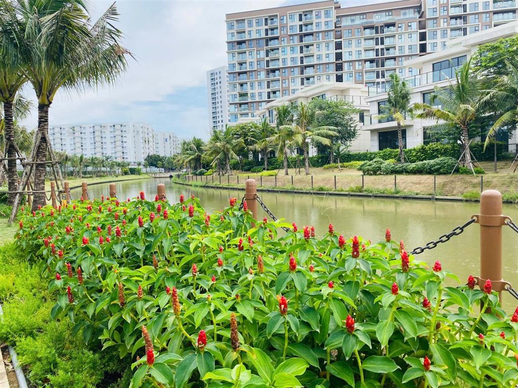 Mizuki park  nhà phố kênh đào dt đất 6 x 21m, dtxd 248,9m2  mua trực tiếp cđt  nhận nhà 11/2026