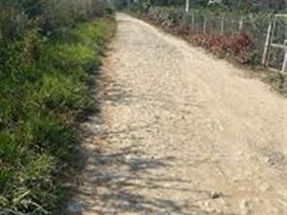 Bán đất ngô quyền, di linh  có sẵn thổ cư, đất đẹp dễ sử dụng