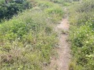 Cần bán đất ngô quyền, di linh  thích hợp làm nhà vườn cao cấp