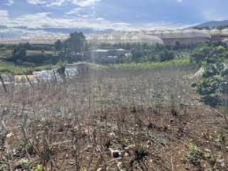 Bán lô đất đẹp ngô quyền, di linh  diện tích lớn, thổ cư sẵn