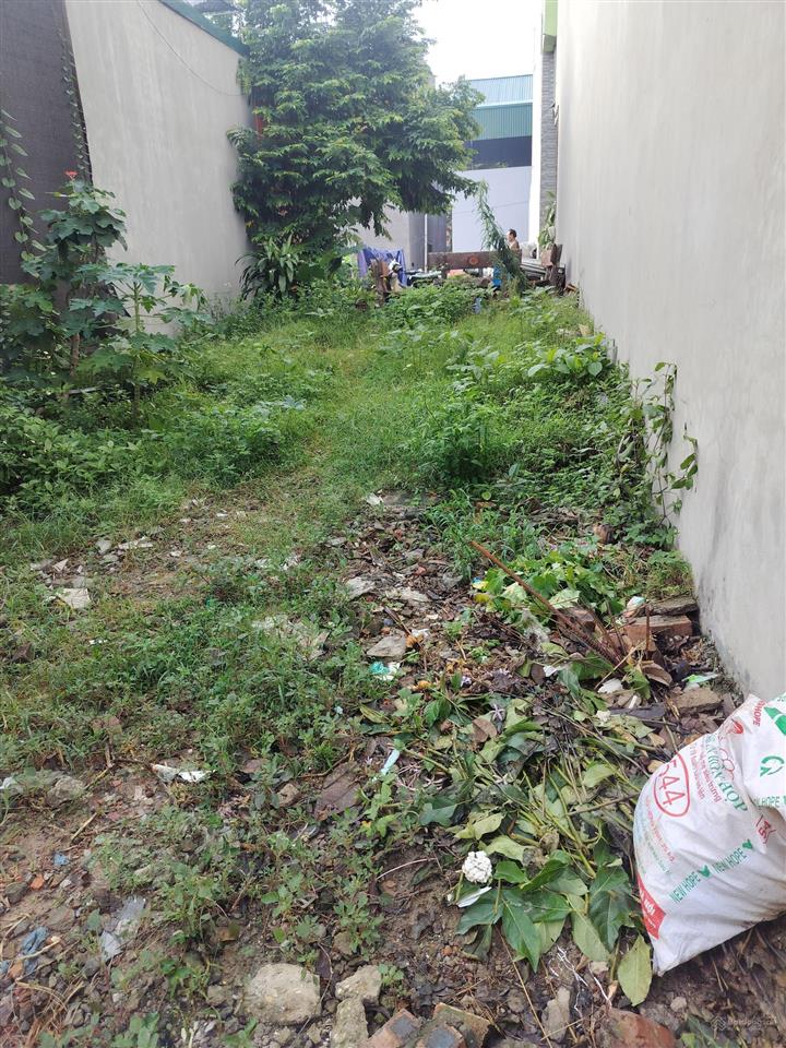 Bán gấp đất tại thôn đoài, đông anh, hà nội, giá 6,95 tỷ, 105m2, đường 5 m