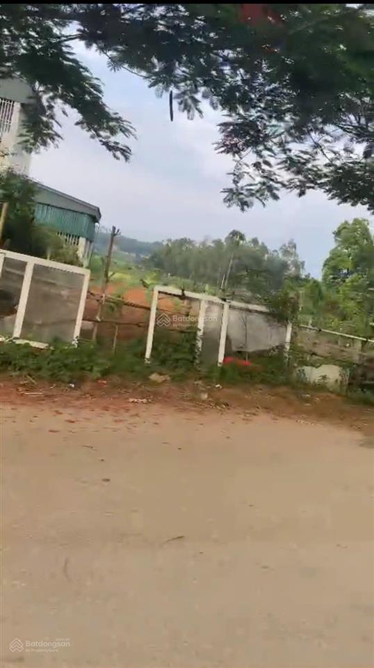 Bán 203m2, mặt tiền 8.3m, full thổ cư, phượng mao, thanh thủy, đường nhựa, kinh doanh, giá tốt