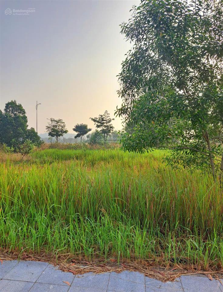 Bán đất nền dự án biên hòa new city, từ 19 triệu/m2, 121m2, q.biên hòa, đồng nai giá tốt